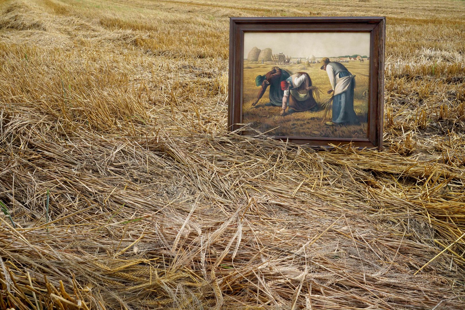 q3-feld-und-flur-09-13-23-eissner_karl-Jedes-Korn-zaehlt