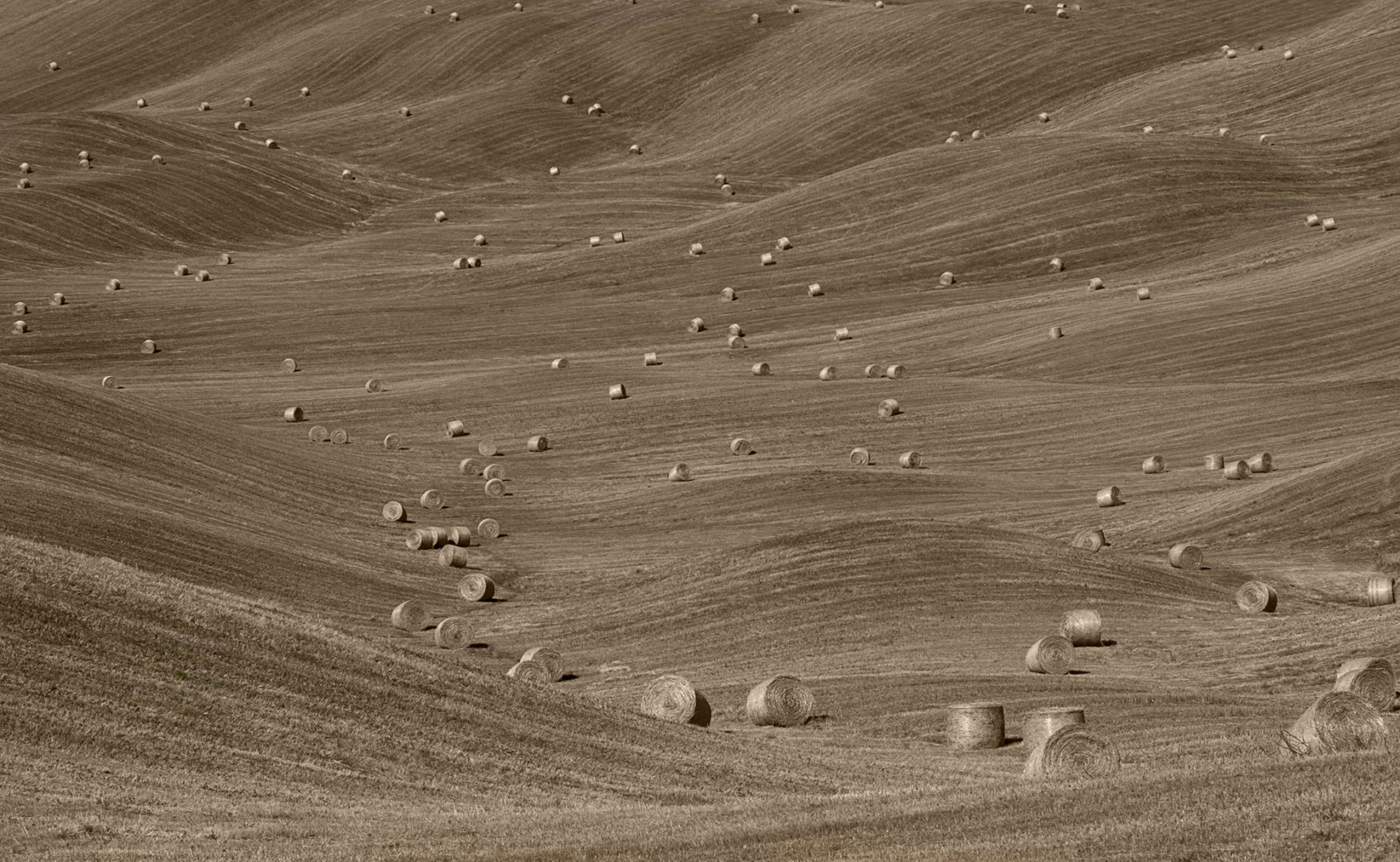 Film & Fotoclub Herrieden e.V.