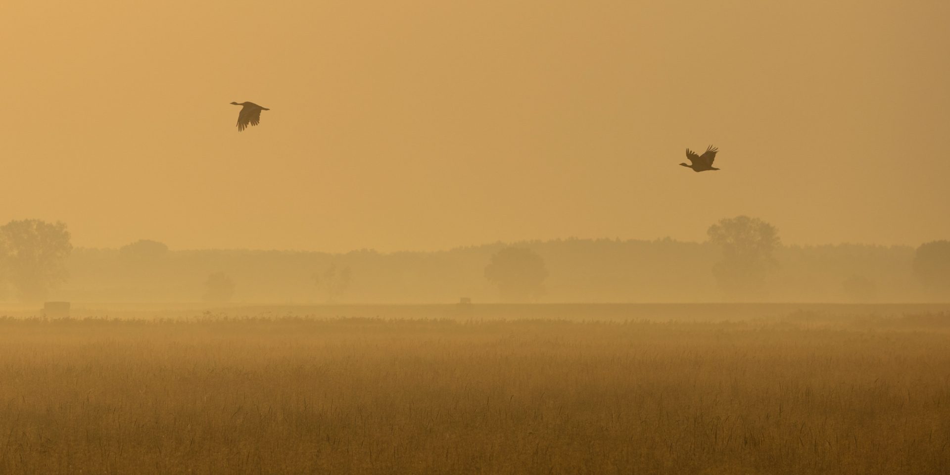 q3-feld-und-flur-09-17-23-birmann_tania-Puszta